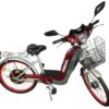 15275870556-e-bike-rema-800w-vermelha-04-1.jpg