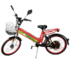 15312066283-bike-pantanal-2.png